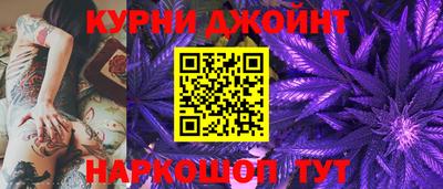 a pvp Кингисепп