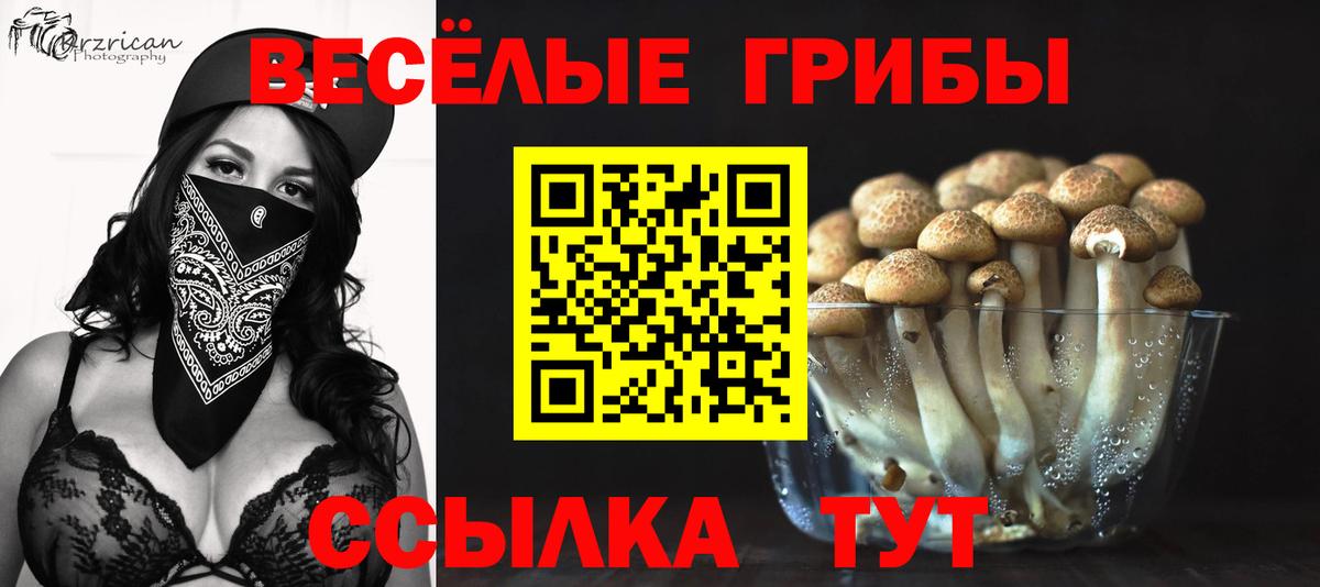 Псилоцибиновые грибы мухоморы  Псилоцибиновые грибы Psilocybe  Вход с VPN  Крымск 